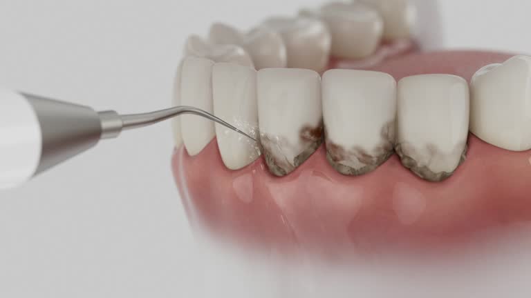 Reliable Dental contractor in Nikiski, AK by Dentist Open Now
